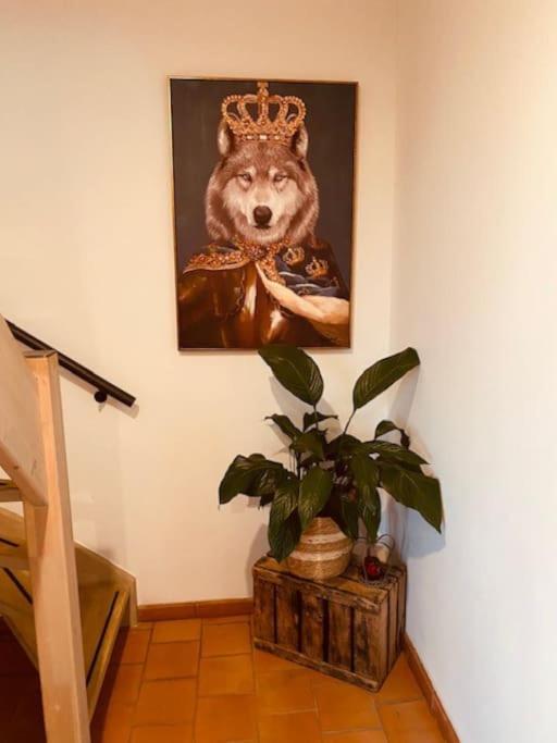 Romantische Vakantiewoning Met Weids Uitzicht