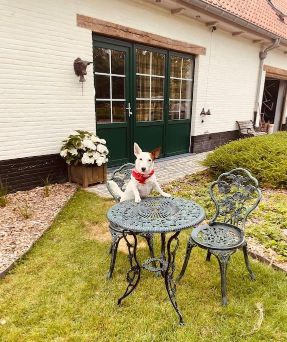 Romantische Vakantiewoning Met Weids Uitzicht Ferienhaus